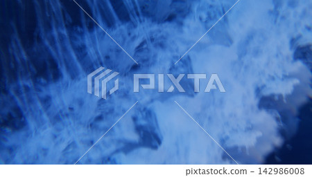 Blur cloud ink. Blue vapor. Smoke fume bright color splash water rainbow acrylic fog texture spill on abstract vibrant background. 142986008