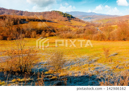 beautiful autumn forenoon in mountains. trees on a hill in fall colors. wonderful countryside landscape of Ukraine on a sunny weather beautiful autumn forenoon in mountains. trees on a hill in fall colors. wonderful countryside landscape of Ukraine on a sunny weather 142986162