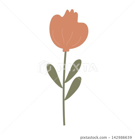 flower vector illustration flower vector illustration 142986639