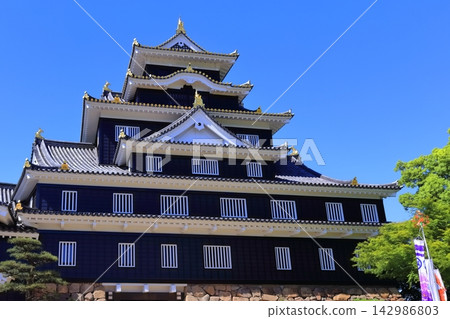 【岡山縣】春季岡山城（春季鳥場燈籠節） 142986803
