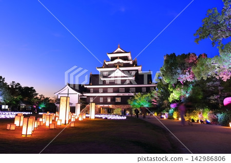 [Okayama Prefecture] Okayama Castle illuminated in a fantastical spring light show (Spring Torijo Lantern Festival) 142986806
