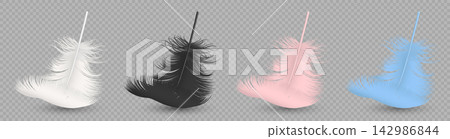 Realistic Feathers, Vector Illustration. Feathers in White Black Pink and Blue. Feathers Floating Isolated for Fashion, Decoration, Beauty, Softness, Plumage, Elegant Feather Designs Realistic Feathers, Vector Illustration. Feathers in White Black Pink and Blue. Feathers Floating Isolated for Fashion, Decoration, Beauty, Softness, Plumage, Elegant Feather Designs 142986844