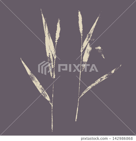 Botanical wild grass stems imprints set. Light beige ink pressed cereal spikes and leaves on dark dusty purple background, minimalist natural herbarium printmaking illustration. Botanical wild grass stems imprints set. Light beige ink pressed cereal spikes and leaves on dark dusty purple background, minimalist natural herbarium printmaking illustration. 142986868