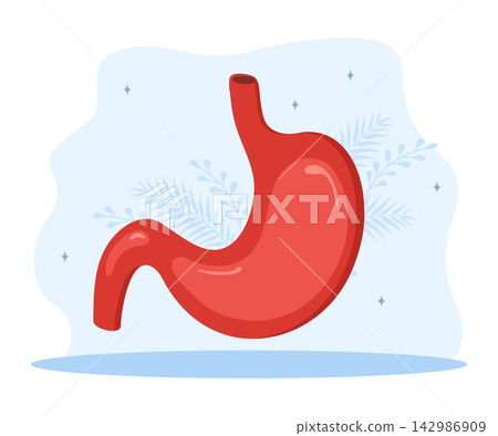 Human stomach icon. Internal organ scan and diagnosis. Treatment of stomach and digestive system diseases. Flat vector illustration Human stomach icon. Internal organ scan and diagnosis. Treatment of stomach and digestive system diseases. Flat vector illustration 142986909