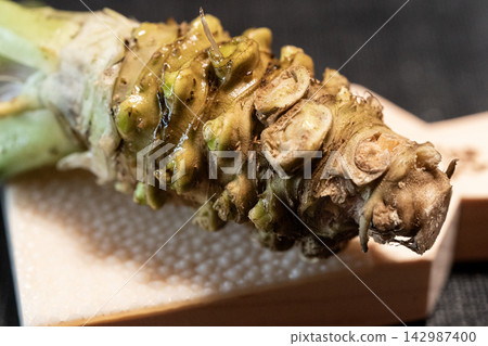 Fresh wasabi, real wasabi, horseradish, rhizome, sprout, surface, close-up, macro, Japanese food, condiment, spice, high-end ingredient Fresh wasabi, real wasabi, horseradish, rhizome, sprout, surface, close-up, macro, Japanese food, condiment, spice, high-end ingredient 142987400