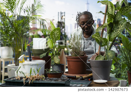 Woman tends potted herbs and houseplants at outdoor gardening table with soil and hand tools. Horticulturist examines herb growth and soil condition to take care of moisture needs Woman tends potted herbs and houseplants at outdoor gardening table with soil and hand tools. Horticulturist examines herb growth and soil condition to take care of moisture needs 142987673