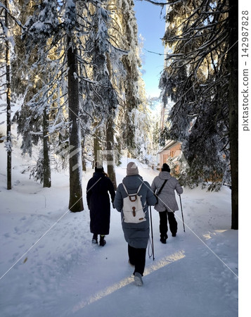 People are walking along a snow-covered forest trail in winter, using Nordic walking poles. People are walking along a snow-covered forest trail in winter, using Nordic walking poles. 142987828