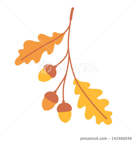 Oak branch with golden leaves and acorns. Autumn botanical element for harvest cards, seasonal decorations and rustic nature designs. Flat vector illustration isolated on white background 142988048