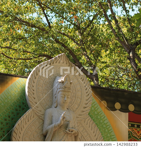 Buddhist stone statue surrounded by trees Buddhist stone statue surrounded by trees 142988233