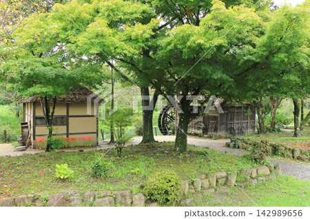 阿曇野初秋:大王芥末農場的水磨坊 阿曇野初秋:大王芥末農場的水磨坊 142989656