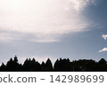 Blue sky and clouds, silhouettes of trees 142989699