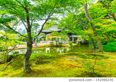 京都之夏:高台寺、開山堂、臥龍池 京都之夏:高台寺、開山堂、臥龍池 142990230