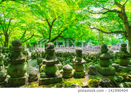 京都之夏:足野念佛寺、西院河床 京都之夏:足野念佛寺、西院河床 142990404