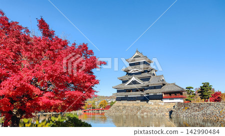 Autumn's Matsumoto Castle Autumn's Matsumoto Castle 142990484