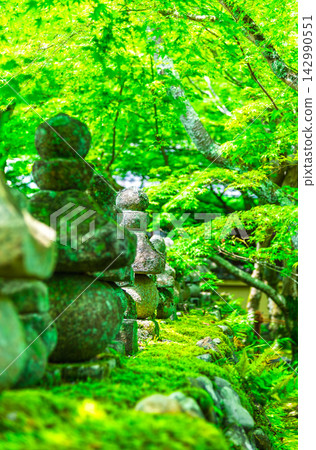 夏季京都的足野念佛寺 142990551