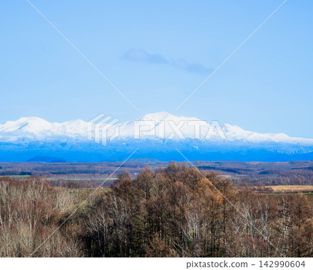 秋季,從美瑛的山丘上眺望大雪山山脈和旭岳的壯麗景色,映襯著湛藍的天空。 秋季,從美瑛的山丘上眺望大雪山山脈和旭岳的壯麗景色,映襯著湛藍的天空。 142990604