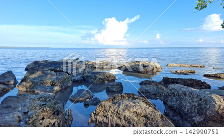 Coastal Coral Rocks on Tropical Beach Shore Under Blue Sky Coastal Coral Rocks on Tropical Beach Shore Under Blue Sky 142990751