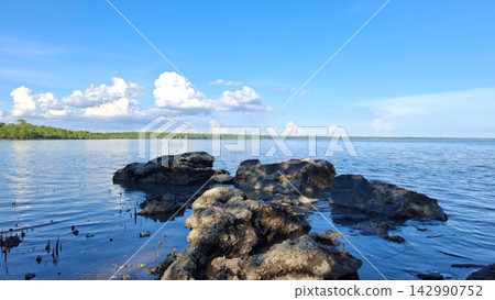 Rocky Seashore and Calm Ocean Water under Sunny Blue Sky Rocky Seashore and Calm Ocean Water under Sunny Blue Sky 142990752