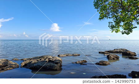 Coastal Rocks along Calm Tropical Shore with Tree Canopy View Coastal Rocks along Calm Tropical Shore with Tree Canopy View 142990753