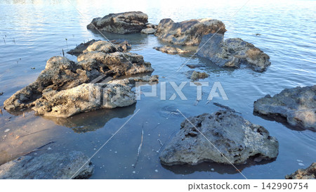 High Angle Close Up of Coral Rocks in Shallow Coastal Water High Angle Close Up of Coral Rocks in Shallow Coastal Water 142990754