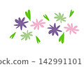 Flowers 142991101
