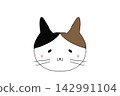 Kitty 142991104