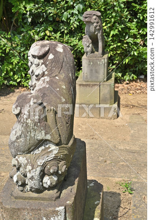 A walk around Iwatsuki: Yoroimiya Hachiman Shrine, guardian lion-dogs, Minamitsuji, Iwatsuki Ward A walk around Iwatsuki: Yoroimiya Hachiman Shrine, guardian lion-dogs, Minamitsuji, Iwatsuki Ward 142991612