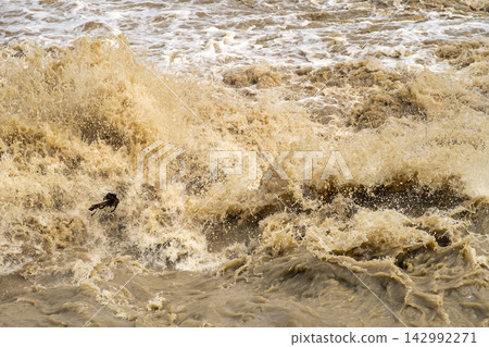 Brown floodwater rushing beneath dam spillway during intense rain, creating dramatic splashes while highlighting overflow, powerful current and water management. Brown floodwater rushing beneath dam spillway during intense rain, creating dramatic splashes while highlighting overflow, powerful current and water management. 142992271