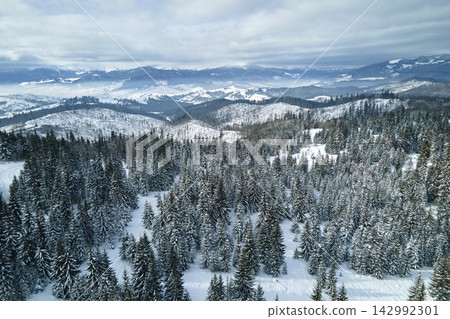 Winter landscape with small village houses between snow covered forest in cold mountains Winter landscape with small village houses between snow covered forest in cold mountains 142992301