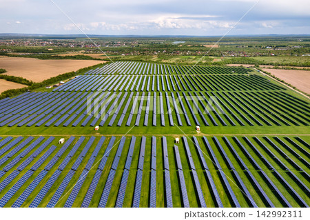 Aerial view of big sustainable electric power plant with many rows of solar photovoltaic panels for producing clean ecological electrical energy. Renewable electricity with zero emission concept. Aerial view of big sustainable electric power plant with many rows of solar photovoltaic panels for producing clean ecological electrical energy. Renewable electricity with zero emission concept. 142992311