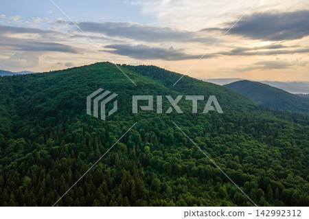 Aerial view of green pine forest with dark spruce trees covering mountain hills. Nothern woodland scenery from above Aerial view of green pine forest with dark spruce trees covering mountain hills. Nothern woodland scenery from above 142992312