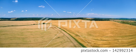 Aerial landscape view of yellow cultivated agricultural field with ripe wheat on bright summer day Aerial landscape view of yellow cultivated agricultural field with ripe wheat on bright summer day 142992314