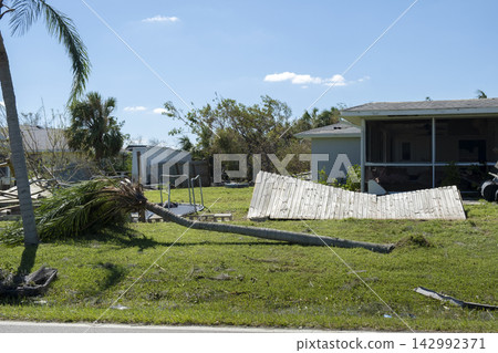 Uprooted palm tree after hurricane on Florida home front yard. Aftermath of natural disaster concept Uprooted palm tree after hurricane on Florida home front yard. Aftermath of natural disaster concept 142992371