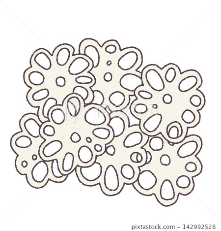 Lotus root illustration 142992528