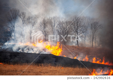 The raging flames of the Tonomine Plateau's mountain burning. The raging flames of the Tonomine Plateau's mountain burning. 142992616