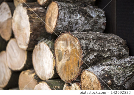 Neatly piled stack of chopped trunks outdoors on bright sunny day, abstract background, Fire wood logs prepared for winter, ready for burning. Environment protection concept. Neatly piled stack of chopped trunks outdoors on bright sunny day, abstract background, Fire wood logs prepared for winter, ready for burning. Environment protection concept. 142992823