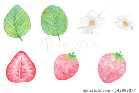 一組草莓、花朵和葉子的水彩插圖 142992877