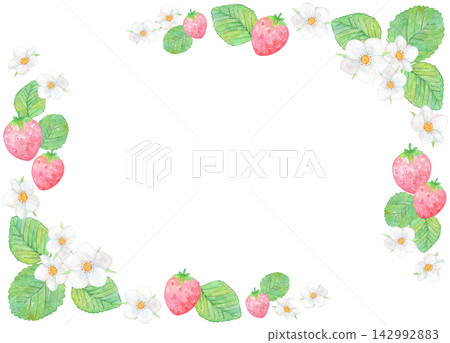 草莓和草莓花相框素材(水彩) 草莓和草莓花相框素材(水彩) 142992883