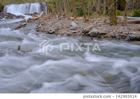 Choshi Otaki of early spring Choshi Otaki of early spring 142993014