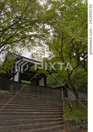 The gate and stone steps of Awata Imperial Villa, surrounded by trees, Kyoto. The gate and stone steps of Awata Imperial Villa, surrounded by trees, Kyoto. 142993256