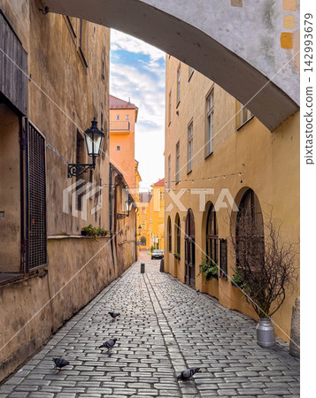 narrow cobbled street with an arch narrow cobbled street with an arch 142993679