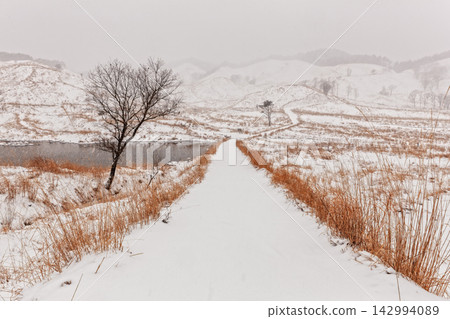 Snowy promenade Snowy promenade 142994089