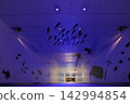 Illuminated underground passage 142994854