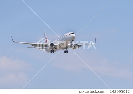 日本航空公司一架波音737-800客機正進場降落。 日本航空公司一架波音737-800客機正進場降落。 142995012