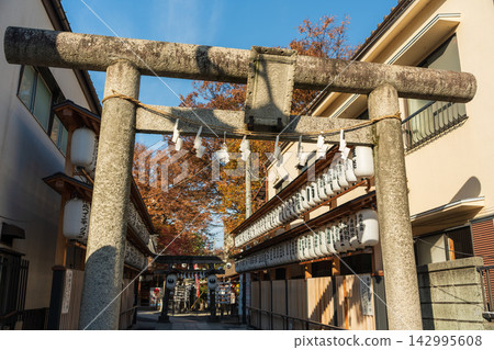 秋葉與燈籠裝飾著熊野神社的石鳥居與參道。日本埼玉縣川越市 秋葉與燈籠裝飾著熊野神社的石鳥居與參道。日本埼玉縣川越市 142995608