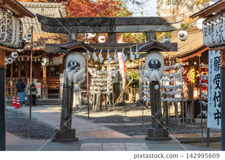 秋葉與燈籠裝飾著熊野神社的石鳥居與參道。日本埼玉縣川越市 秋葉與燈籠裝飾著熊野神社的石鳥居與參道。日本埼玉縣川越市 142995609