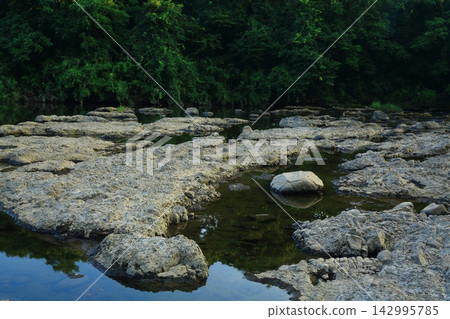 一條山間河流,周圍環繞著新鮮的綠色植物 一條山間河流,周圍環繞著新鮮的綠色植物 142995785