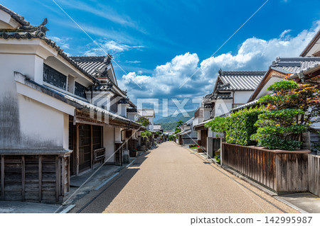 Tokushima Prefecture: Important Traditional Buildings Group "Udatsu Townscape" Tokushima Prefecture: Important Traditional Buildings Group "Udatsu Townscape" 142995987