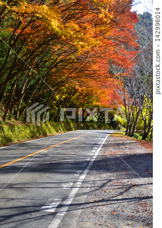 Autumn, Deep Yabakei, Hisashi Momiji Autumn, Deep Yabakei, Hisashi Momiji 142996014