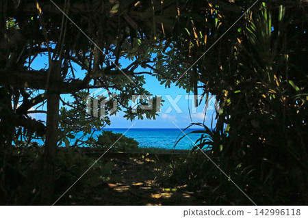 Okinawa: A green tunnel leading to the sea Okinawa: A green tunnel leading to the sea 142996118